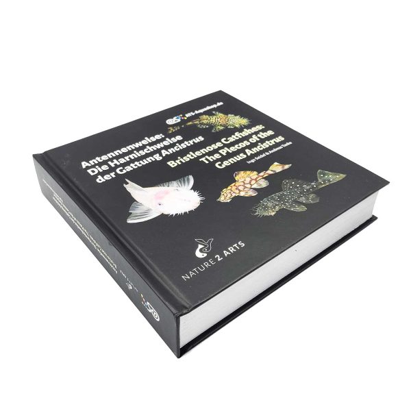 Bristlenose Catfishes: The Plecos of the Genus Ancistrus - By Ingo Seidel & Andreas Tanke (book) - Image 3